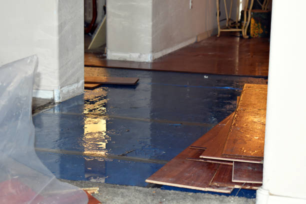 Professional Water Damage Restoration technician working in Montpelier, IN